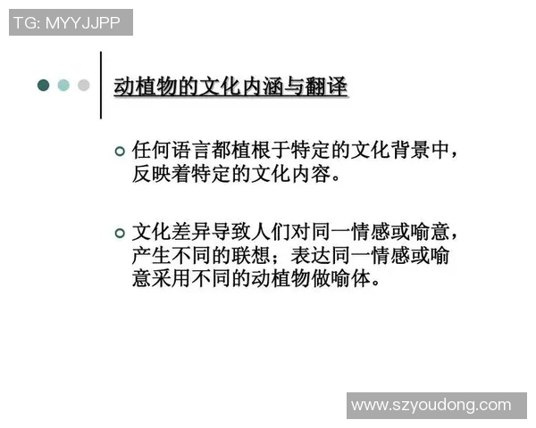 两位足球球星的英文名字翻译与文化差异分析 两位足球球星的英文名字翻译与文化差异分析