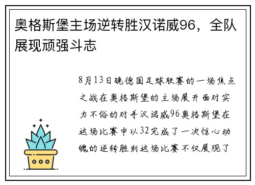 奥格斯堡主场逆转胜汉诺威96，全队展现顽强斗志
